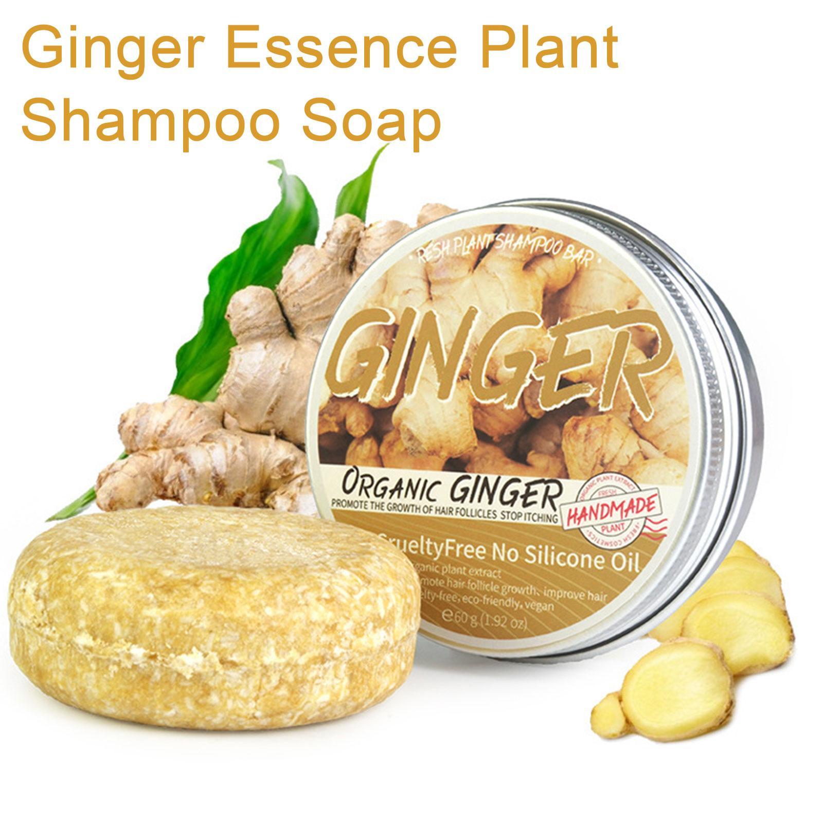 Ginger Polygonum Soap Shampoo  - đánh giá và giá Hair Care Organic