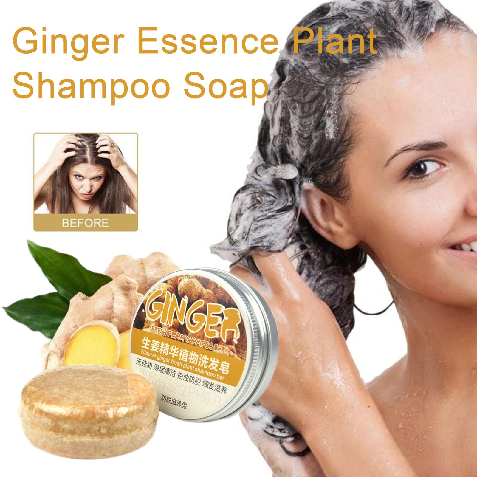 Ginger Polygonum Soap Shampoo  - đánh giá và giá Hair Care Organic